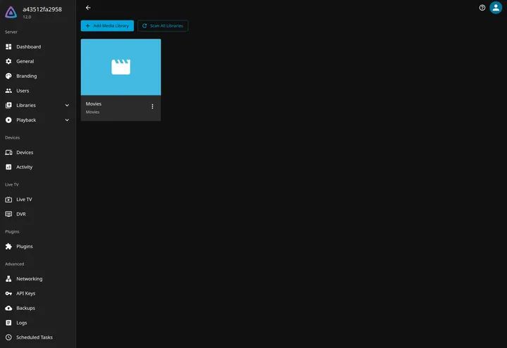 Jellyfin Dashboard Libraries page showing the configured Movies library